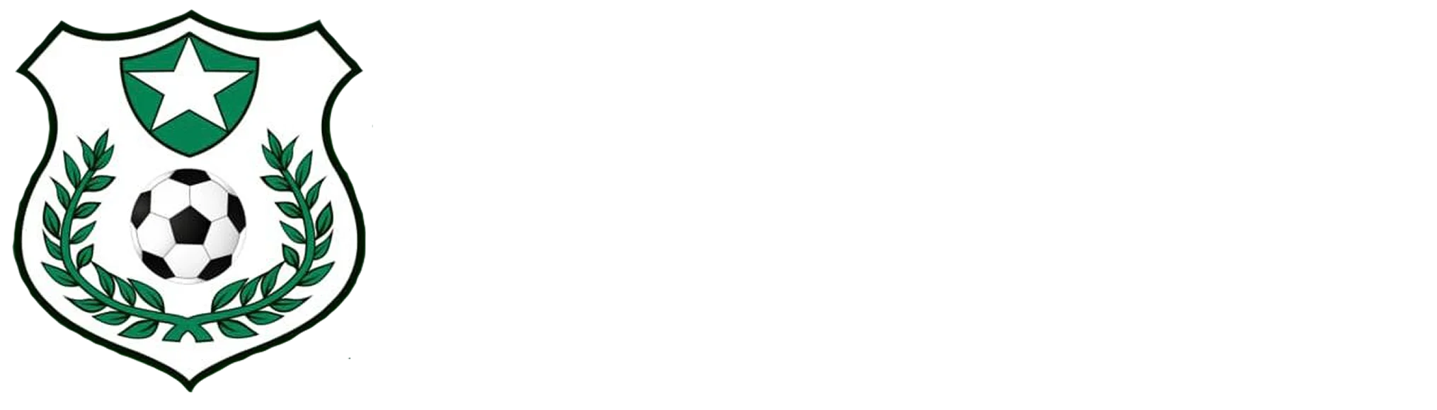 Liga Barrio Nuevo Quito